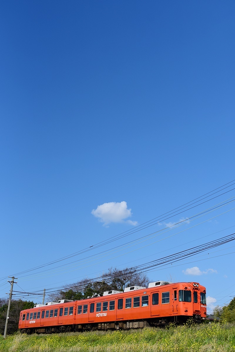 元京王車】伊予鉄で活躍の元京王車を訪ねて 2019春: taro-chanの日記