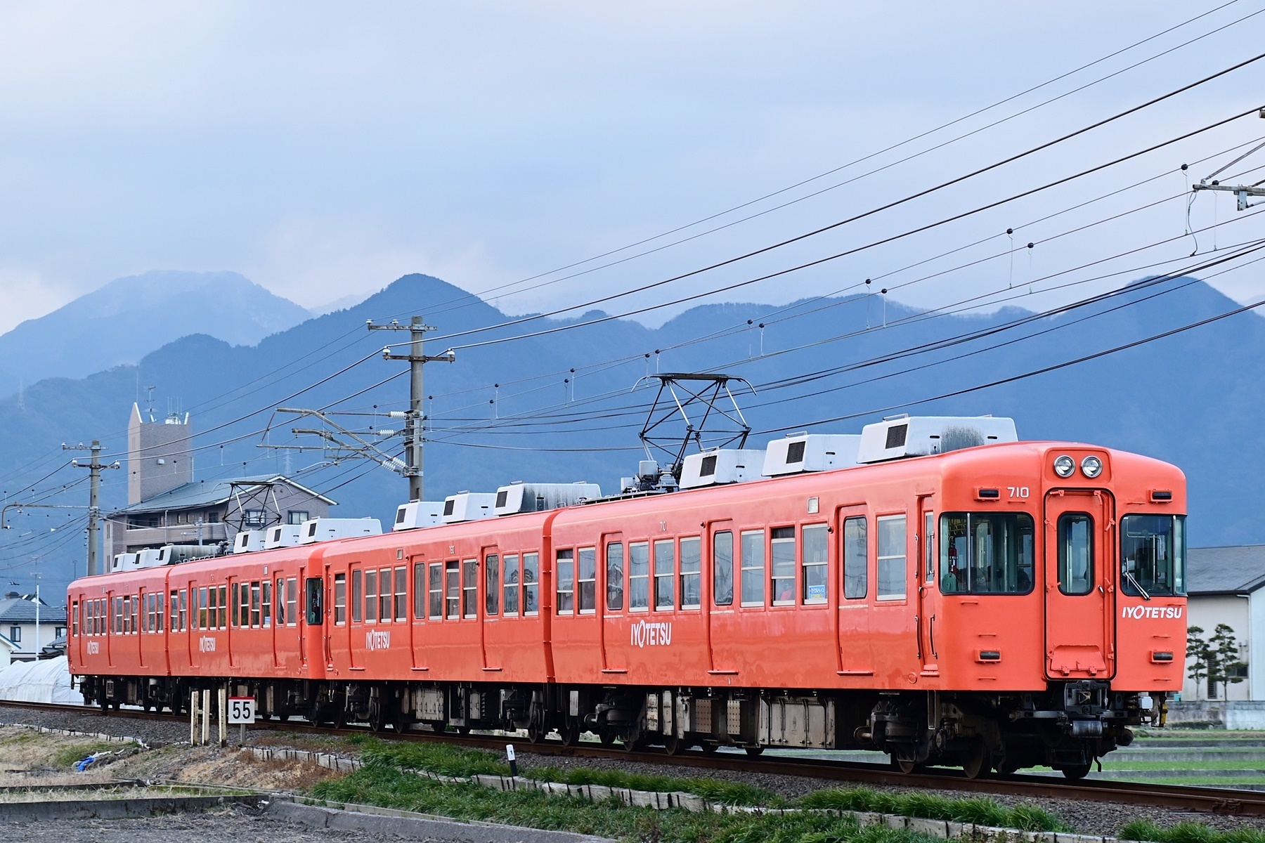 伊予鉄道　吊革 第3弾は媛ひのき＆媛すぎ 伊予鉄道「ご当地電車」つり革に