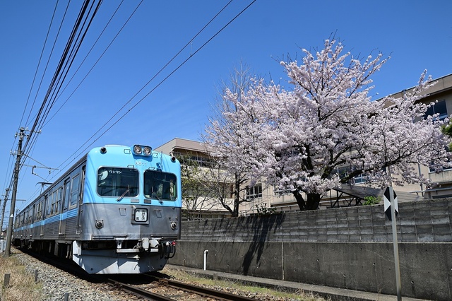 台湾テツ】台湾の鉄道車両レビュー その7 台湾鉄路管理局EMU800