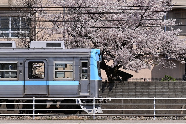 台湾テツ】台湾の鉄道車両レビュー その6 台湾鉄路管理局