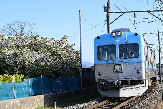 台湾テツ】台湾の鉄道車両レビュー その6 台湾鉄路管理局